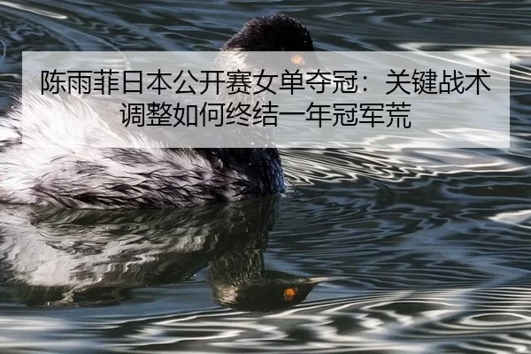 chen-yu-fei-ri-ben-gong-kai-sai-nv-dan-duo-guan-guan-jian-zhan-shu-tiao-zheng-ru-he-zhong-jie-yi-nian-guan-jun-huang-2-658.jpg