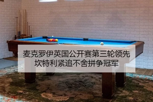 mai-ke-luo-yi-ying-guo-gong-kai-sai-di-san-lun-ling-xian-kan-te-li-jin-zhui-bu-she-pin-zheng-guan-jun-3-177.jpg